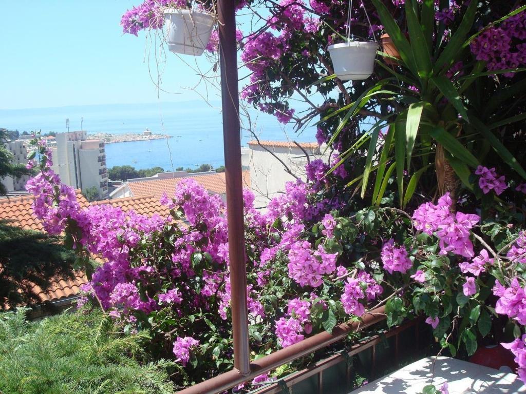 Apartments Dobrinic Makarska Exterior foto